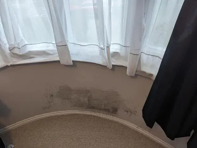 Real photo: mould on a cold bay window reveal before the work.